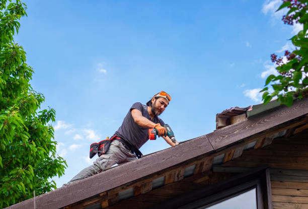 Best Chimney Flashing Repair  in Buchanan, MI